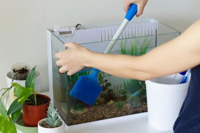 打造生态缸可不是简单活