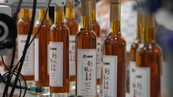 安顺经开区:全力推动金刺梨产业“接二连三”|安顺市|经开区_新浪新闻