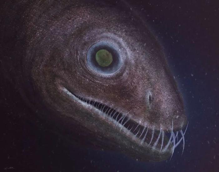 【史前海怪】深海蛇颈龙竟然如此恐怖!