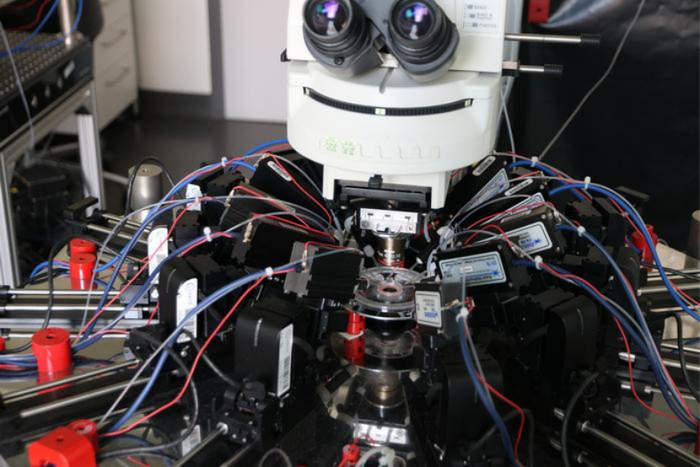 图丨用于记录多达 10 个神经元活动的多膜片实验的实验装置（来源：彭阳帆）