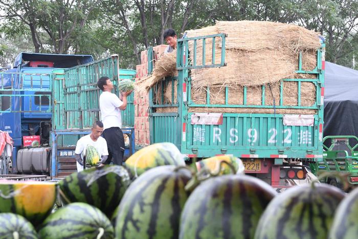 6月22日，新发地市场，商户正在批发西瓜，今年西瓜上市量充足。  新京报记者 陈琳 摄