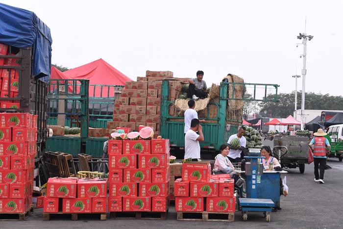 6月22日，新发地市场，暑热天气下西瓜销量大增，每日西瓜上市量超过2000吨。  新京报记者 陈琳 摄