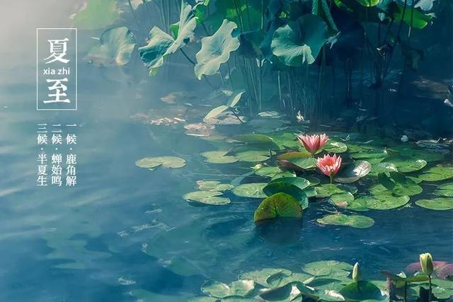 今日夏至！夏至习俗与养生，这些事情你一定要知道！-夏至饮食中医养生禁忌有哪些