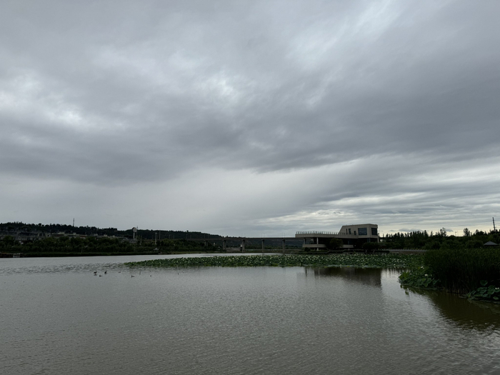 清晨雨后的石川河湿地公园，微风吹起水面层层微波。王禹涵 摄
