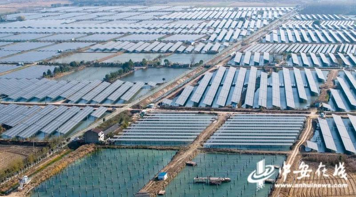 安徽合肥肥西花岗镇150MW渔光互补电站