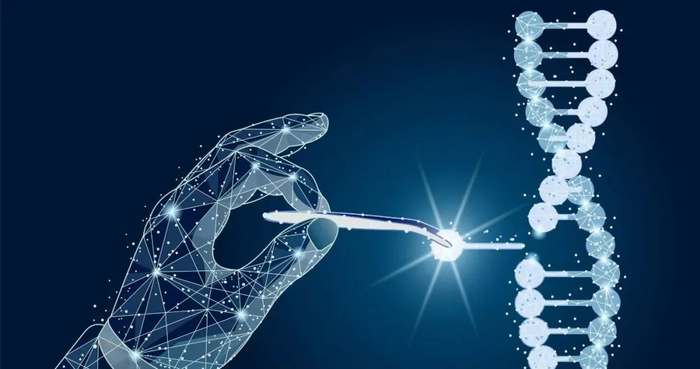 图片来源：123RF