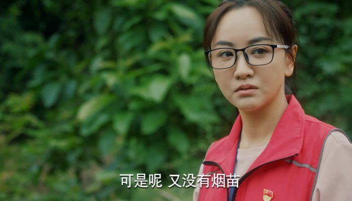 一片丹心付乡村|黄文秀|杨蓉|扶贫_新浪新闻