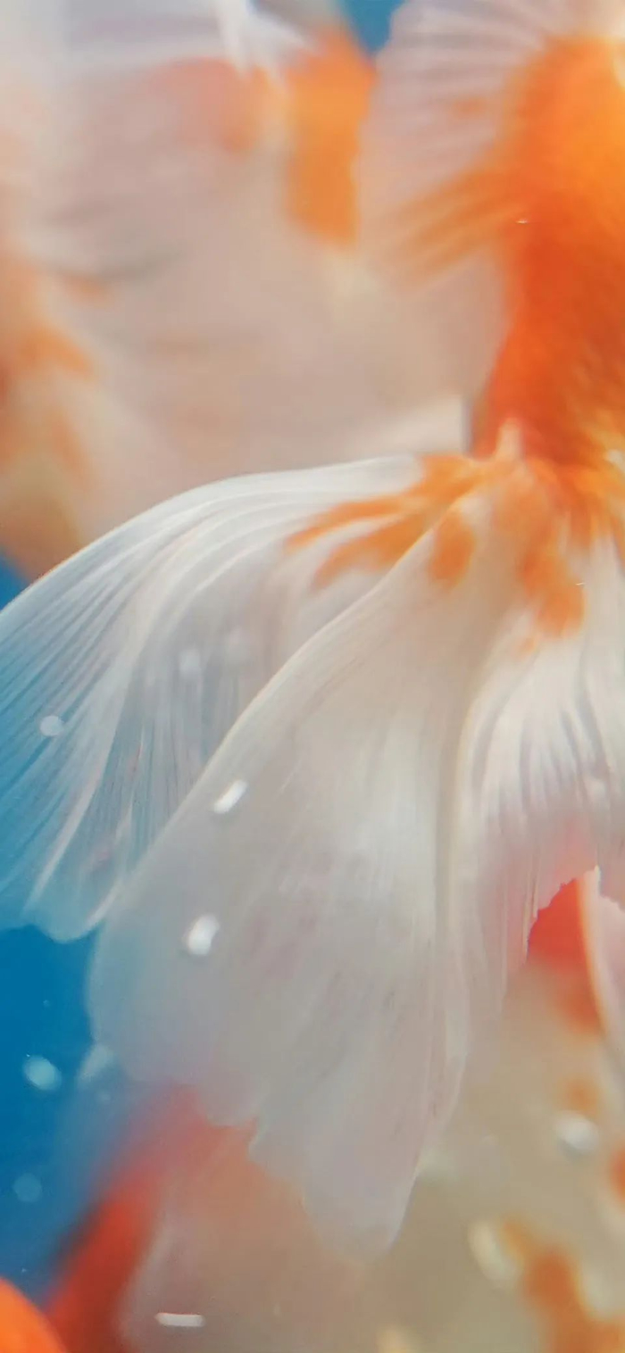 高清全面屏壁纸ins高级质感