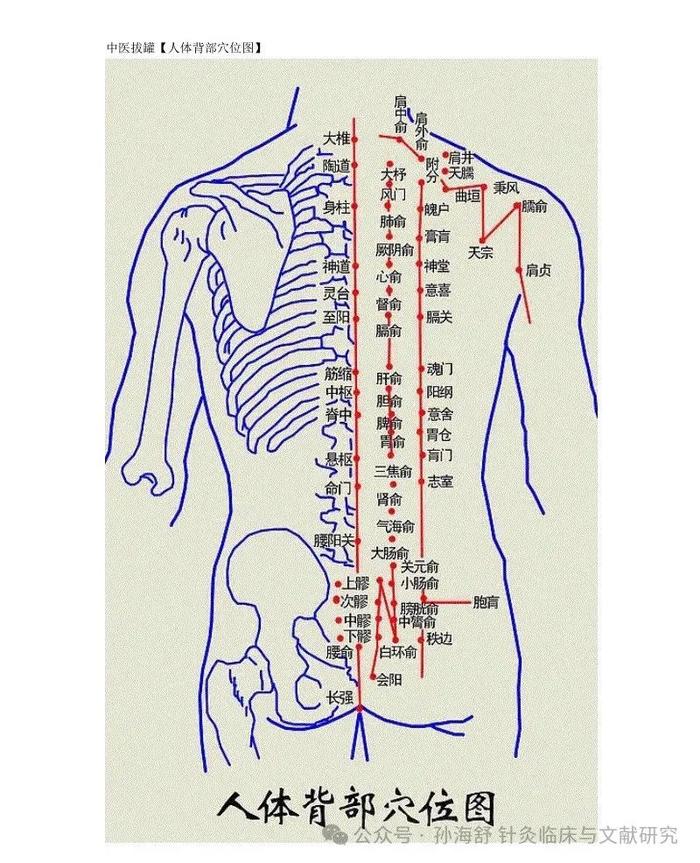 背部穴位养生的一点体会三