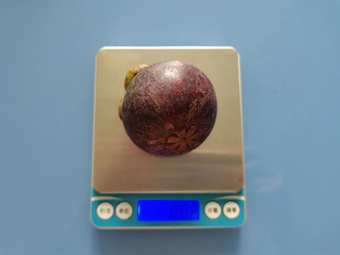 图：1 个 5A 级的山竹，带壳 85 克（自己拍的）