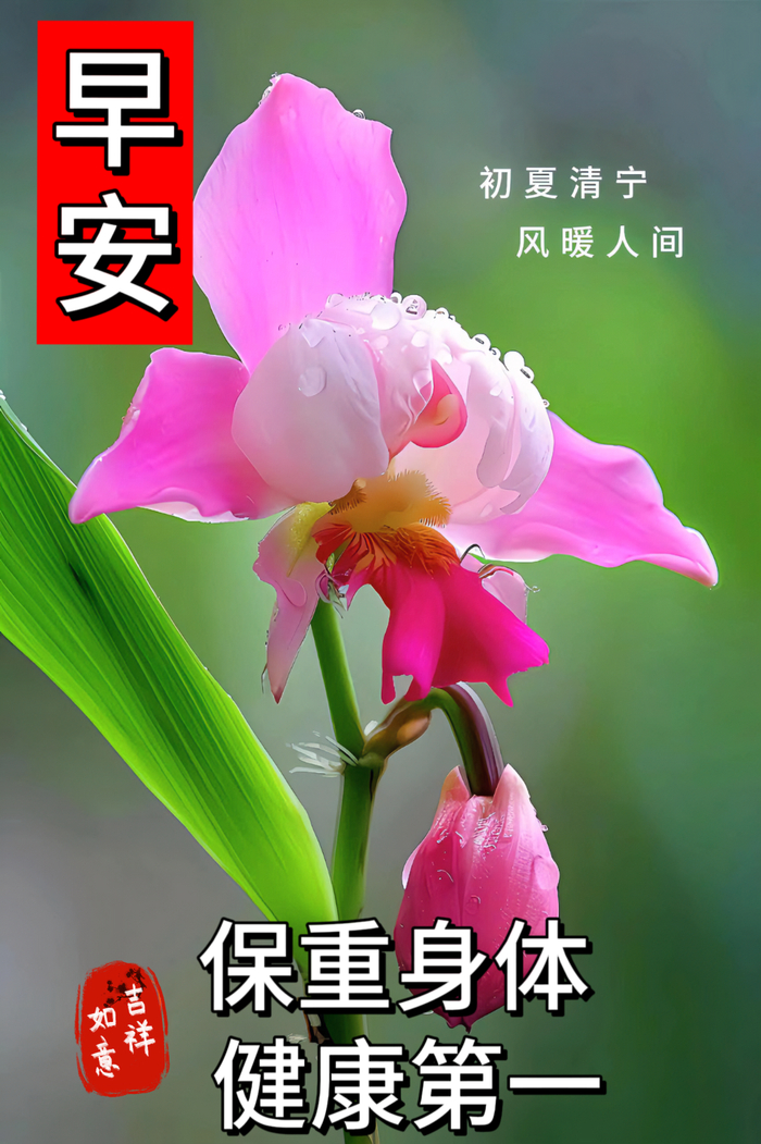 2024年6月25日最新早上好祝福语图片大全 精选早安问候祝福图片带字