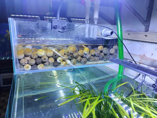 观看水族箱助剂Gulbarga，助剂NiSi，十分钟天数就无法用了，其原因在哪？(图2)