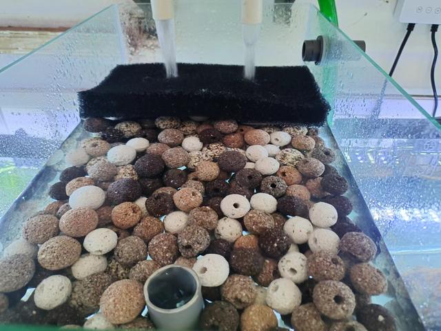 观看水族箱助剂Gulbarga，助剂NiSi，十分钟天数就无法用了，其原因在哪？(图3)
