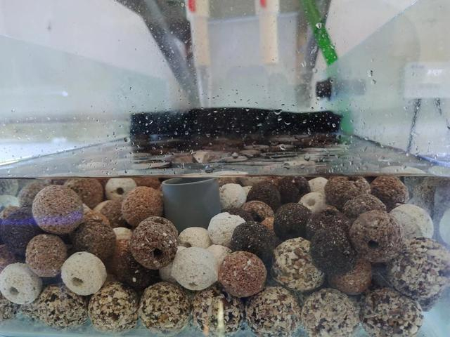 观看水族箱助剂Gulbarga，助剂NiSi，十分钟天数就无法用了，其原因在哪？(图4)