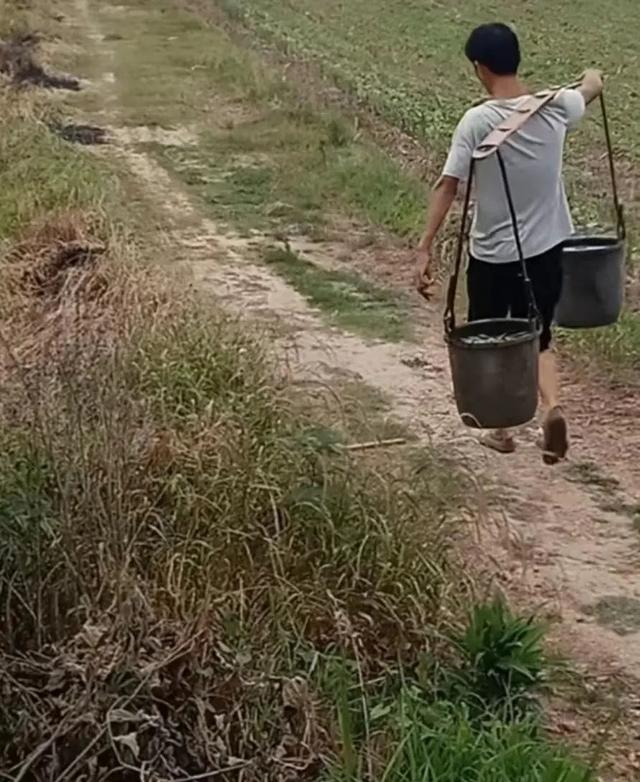 康佳僮教如何挑扁担。图/视频截图