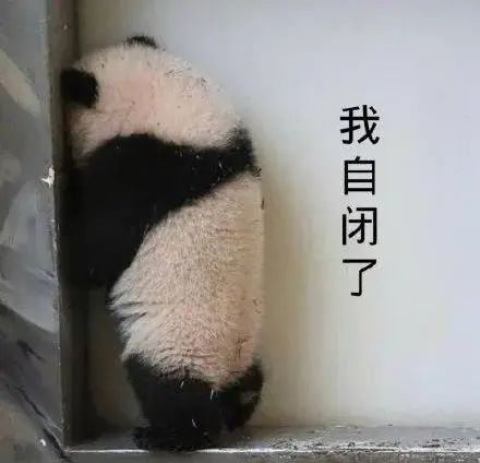 上海25岁女网红被280斤男友杀害后抛尸百里之外
