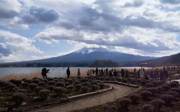 ▲2023年2月23日，游客在日本山梨县河口湖畔欣赏富士山。新华社记者 张笑宇摄