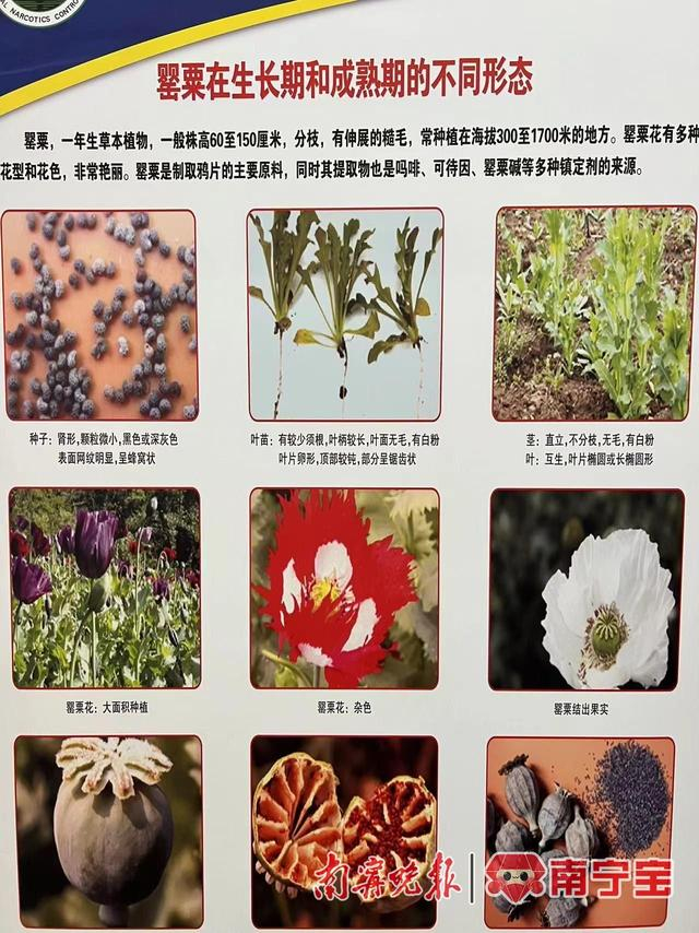 活动现场展出的相关图片