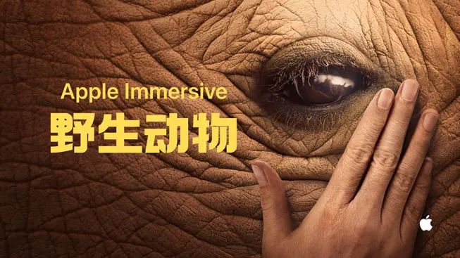 图片来源：苹果官网