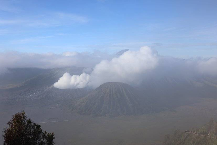 *图片来源：惊蛰研究所摄