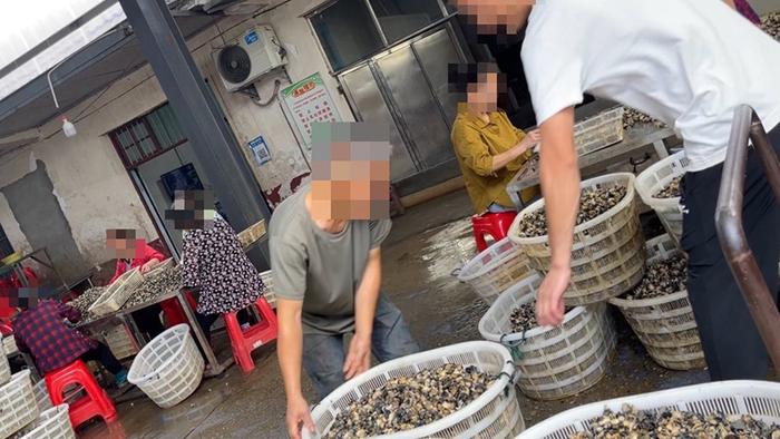 岩汪湖镇黄芦山村里的福寿螺加工厂，工人们正在搬运福寿螺肉。