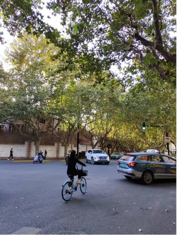 *图片来源：惊蛰研究所摄