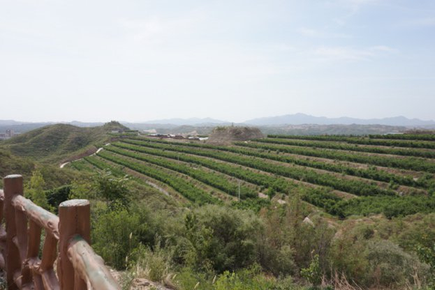 本来生活团队考察阜平产业基地