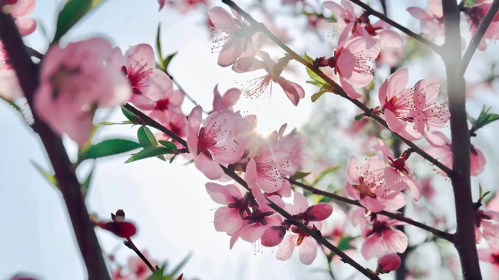 图库版权图片，转载使用可能引发版权纠纷