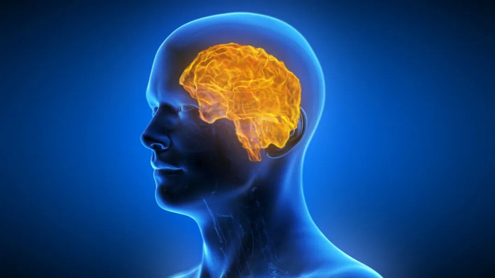 图库版权图片，转载使用可能引发版权纠纷