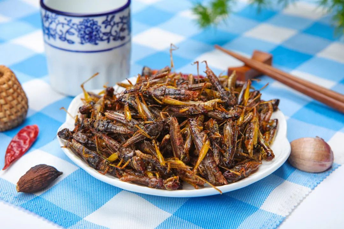 版权图库图片，转载使用可能引发版权纠纷