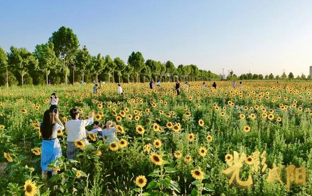 出行便利的地铁.香喷喷的汇通面.渭城老街.群众在渭滨公园载歌载舞.