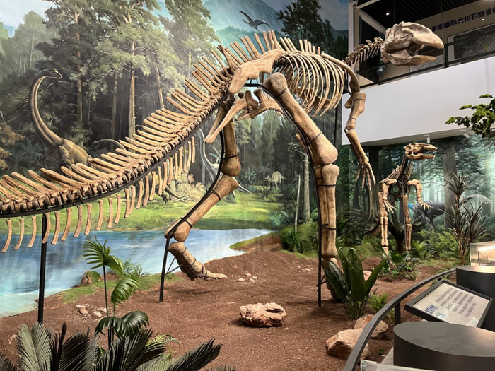 南雄恐龙地质科普中心。