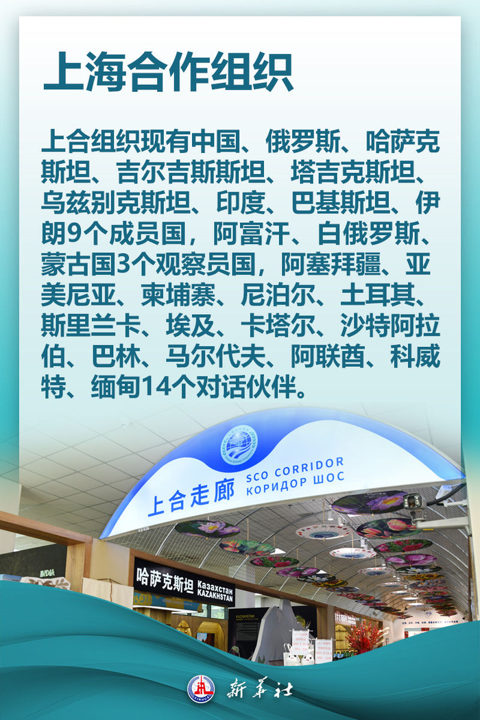 关于上合组织,你想知道的都在这里|上合组织|上海市|上海合作组织_新浪新闻