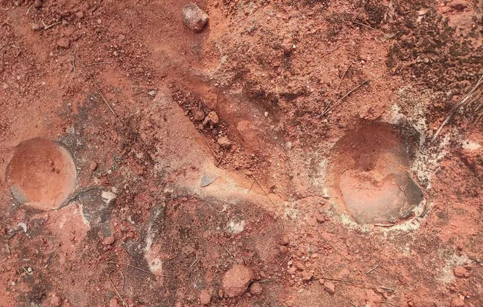 恐龙蛋化石出露痕迹。