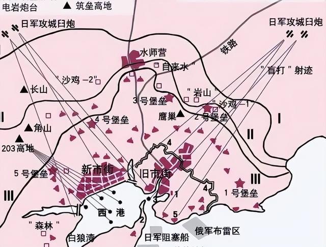 203高地争夺战图片