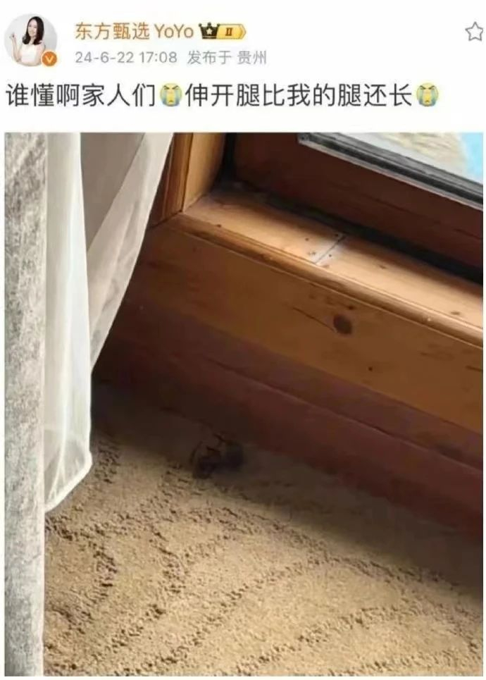 图：东方甄选主播YOYO的微博内容 来源:微博 《听筒Tech》截图