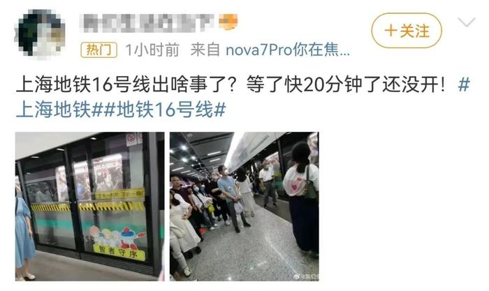 上海地铁16号线香蕉梗图片