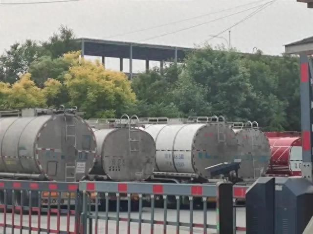 图片来源：新京报