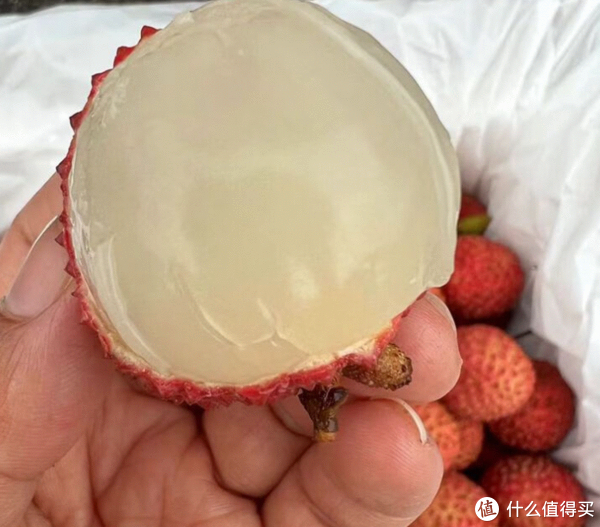 海南岛的鹅蛋荔果园-中的极品荔枝