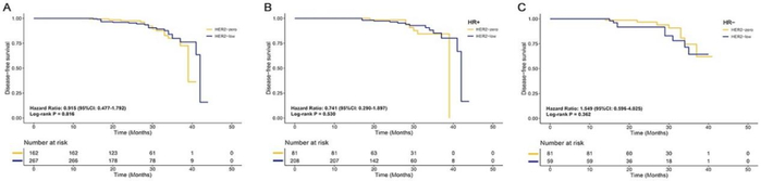 图3. DFS的Kaplan-Meier曲线，根据HER2状态分层