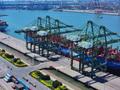 天津港上半年集装箱吞吐量1188万标准箱 创历史新高