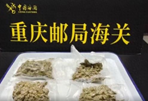 图片来源：海关总署微信公众号截图