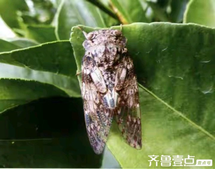 往年台风是几号和几号