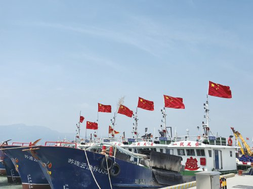 　　连云港市连岛渔港。　农民日报·中国农网记者 王春植　摄