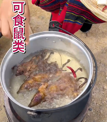 老鼠烂饭,云南佤族的轻奢食物