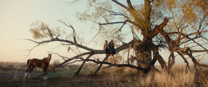 《我的阿勒泰》剧照