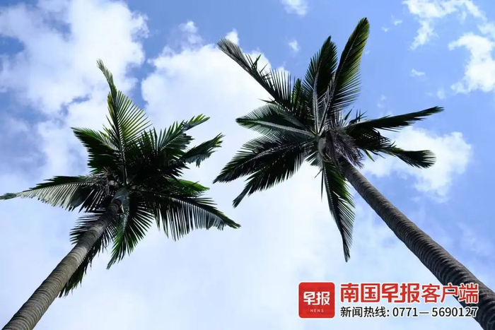 ▲7月4日，南宁天气晴好。