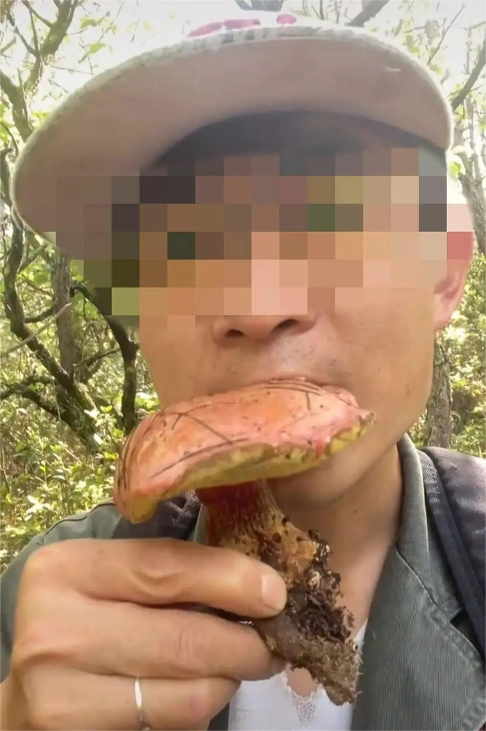 其他网友发布的生吃野生菌视频画面。