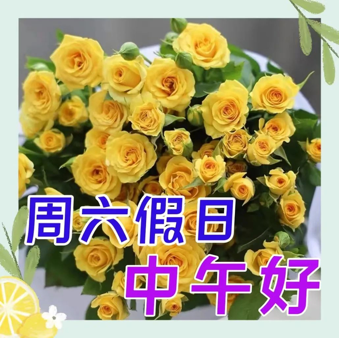 2024年7月6日最新早上好祝福语图片大全 精选早安问候祝福图片带字