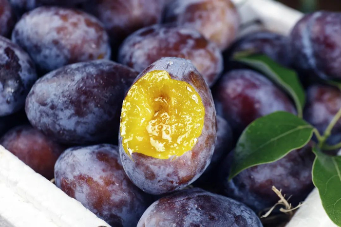 版权图库图片，转载使用可能引发版权纠纷